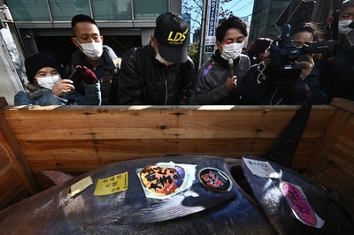 新年恒例マグロの初競り、最高値1688万円 豊洲