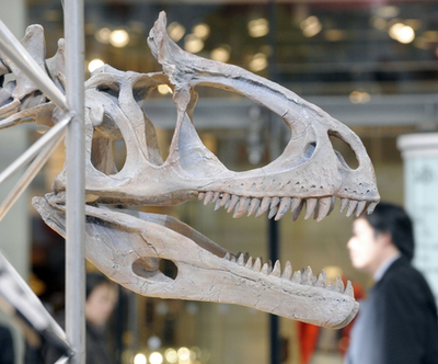 どこかファッショナブル？丸の内に巨大な恐竜の骨格