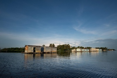 「みんな無学だ」 経済危機で教育機会を失う子どもたち ベネズエラ