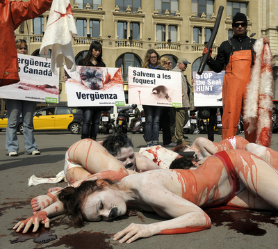 アザラシ猟に流血ペイントで抗議、スペイン