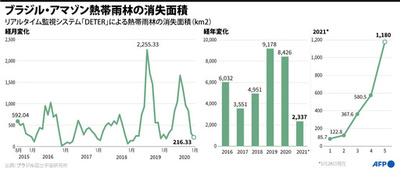 【図解】ブラジル・アマゾン熱帯雨林の消失面積
