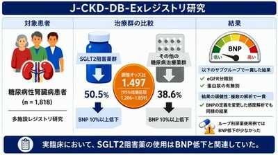 【横浜市立大学】SGLT2阻害薬、糖尿病性腎症患者の心負荷軽減に関与する可能性