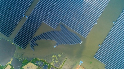異色のコラボ…ソーラー発電と魚の養殖場 江蘇・泗洪