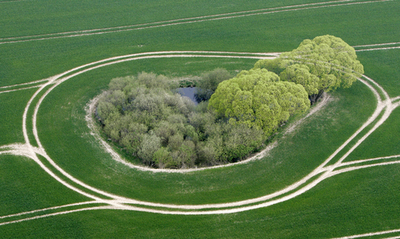 畑に出現した謎の模様、その正体は？ - ドイツ