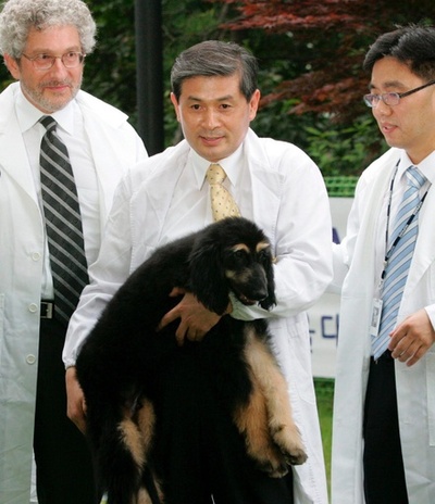 中国で商業化されるペットのクローンは、技術の乱用だ