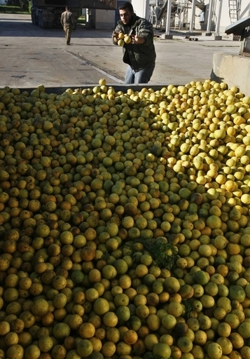 グレープフルーツがきっかけであわや足切断、「非常に珍しい症例」