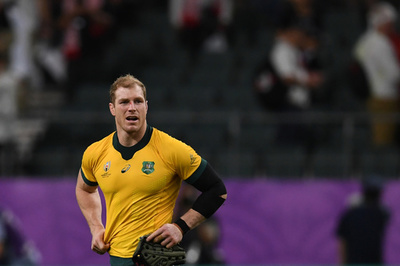 元ワラビーズ主将ポーコック現役引退、自然保護活動の道へ