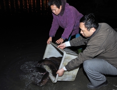 「放生」で毎年大量の鳥や魚が犠牲に、政府が禁止を検討 台湾