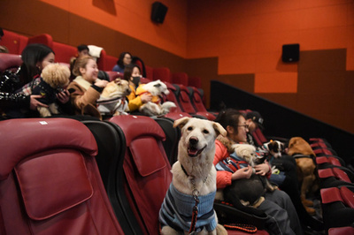 人間はお供　戌（いぬ）年を祝い犬を招待、中国の映画館