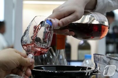 韓国・ミシュラン店の“炎上”ソムリエ…9万円ワインを「1杯分」もテイスティング