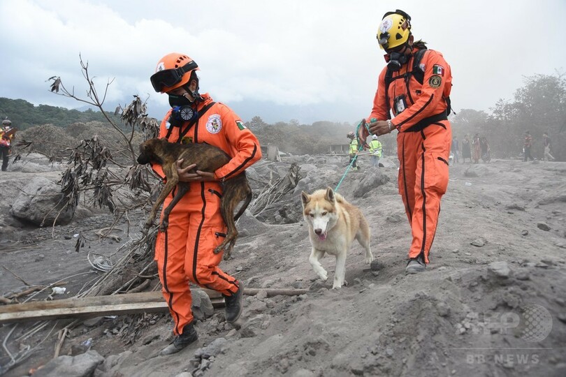 「忍耐の限界」、グアテマラ噴火の遺族ら 身元確認の長期化に苦悩