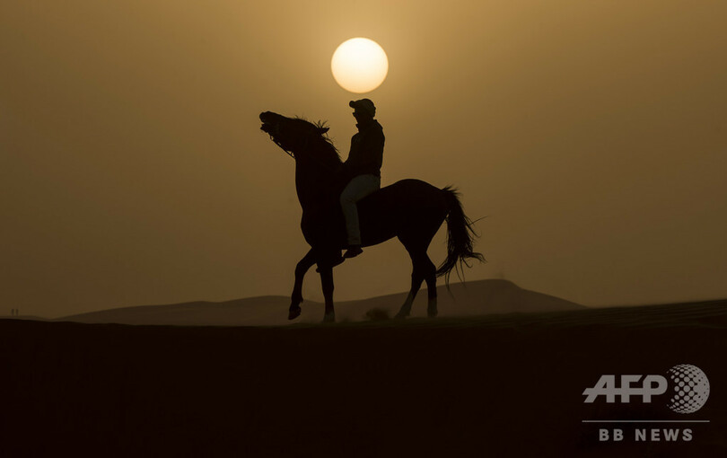 【写真特集】AFPが世界中で撮影した夕日