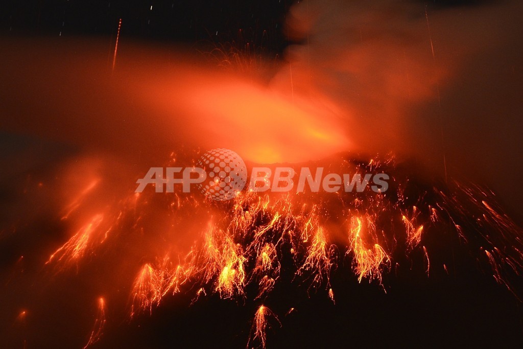 三畳紀末の大量絶滅、最新技術で時期を詳細に特定 「誤差2万年」 三畳紀末の大量絶滅、最新技術で時期を詳細に特定 「誤差2万年」