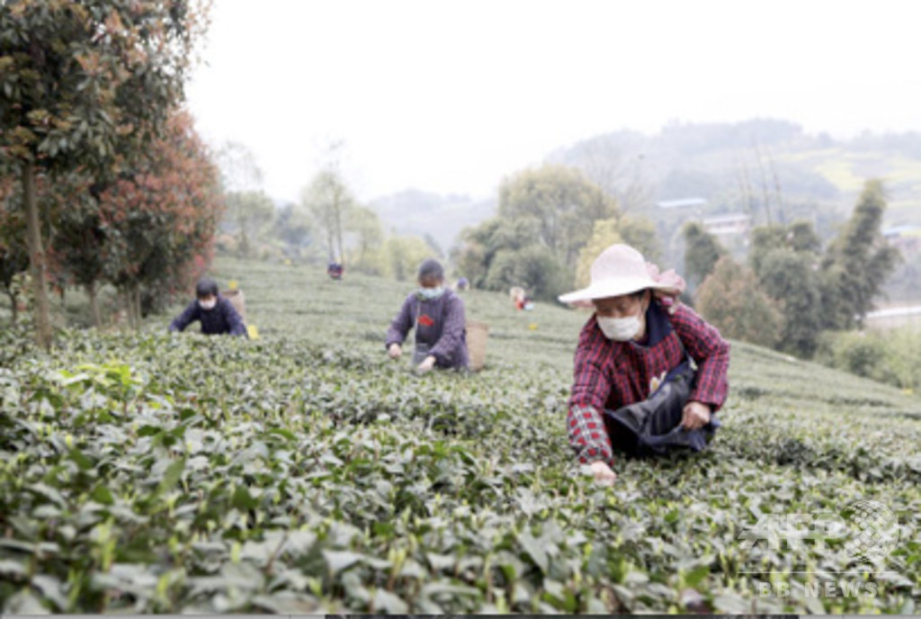 二つの懸念解消と三つの保障 で貧困脱却 中国 重慶 写真1枚 国際ニュース Afpbb News