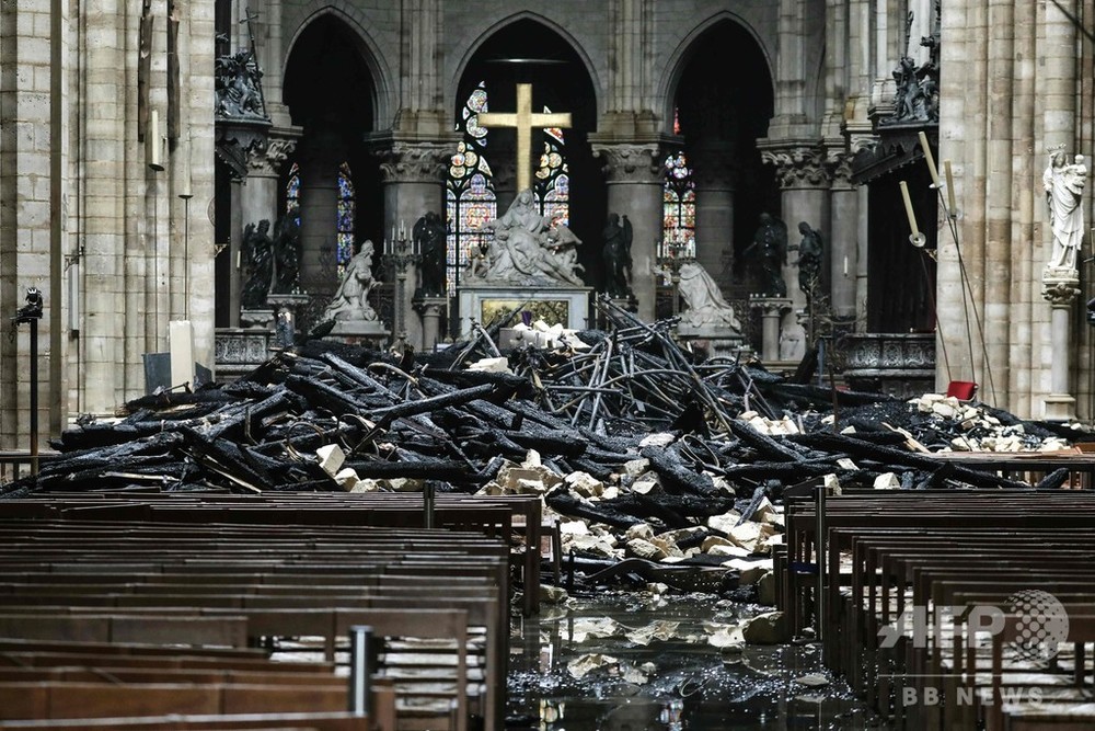 ノートルダム大聖堂のミツバチ、大火災を生き延びる 写真4枚 国際ニュース：AFPBB News