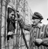 ドイツ南部のダッハウ強制収容所で、女性と話をする囚人（1945年5月1日撮影）。(c)ERIC SCHWAB / AFP