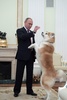 訪日に先立ち日本テレビと読売新聞のインタビューに応じ、秋田犬の「ゆめ」と戯れるウラジーミル・プーチン露大統領（2016年12月7日撮影）。(c)AFP/SPUTNIK/Alexey DRUZHININ