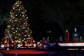 米首都でクリスマスツリー点灯式 著名アーティストが歌のプレゼント