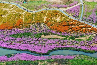 色とりどりに花咲く江西省の「花海」公園 市民たちが「日常の喜び」を堪能