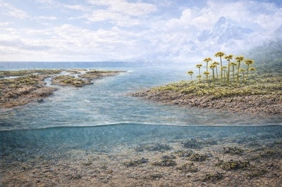 中国の研究チームが新発見 初期植物の陸上での大規模拡大が4億年余り前にさかのぼる