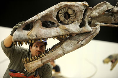 ドイツ・ローゼンハイムで恐竜の化石展