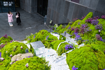 苔テラリウムに魅了される中国の若者