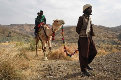 ラクダと荒野を行く、パキスタンの国勢調査員