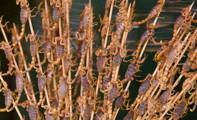 北京五輪いよいよ開幕、さそりも串刺しで観光客をお出迎え