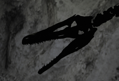 「失われた鎖の輪」雑食恐竜の化石発見、アルゼンチンで3年前