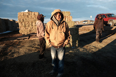 米国、干し草の価格3割増 干ばつなどの影響