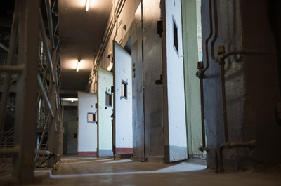 暴力犯罪と関連する遺伝子を特定か、研究