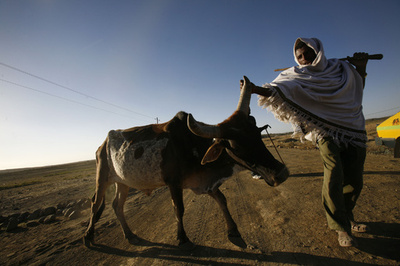 南スーダンの武装集団、エチオピアに越境襲撃 140人を殺害