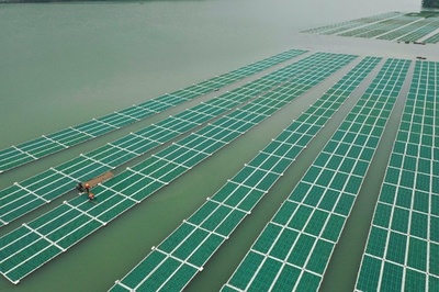 人工浮床で水質改善、温州市の「水がめ」を守る 浙江