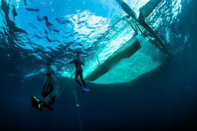 豪グレートバリアリーフ最大の再生計画、サンゴの卵数百万個採取へ 
