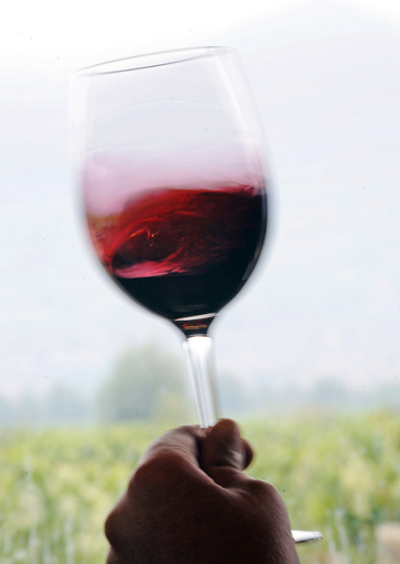 赤字は赤ワインで解決？英政府が所蔵ワイン売却へ