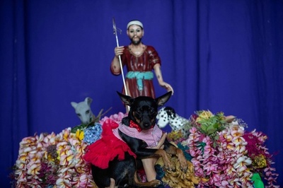 犬に祝福を おめかしして聖人のミサへ ニカラグア