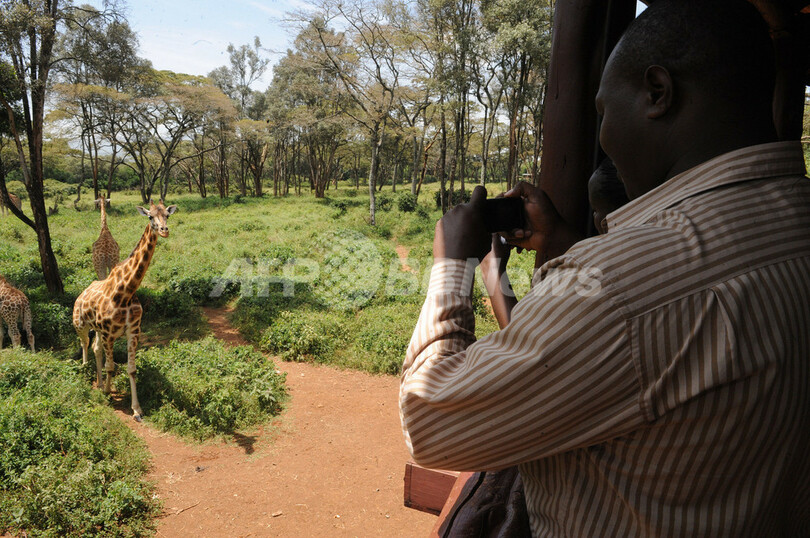 「サファリ」に行くケニア人たち、中産階級台頭で変わるアフリカの観光