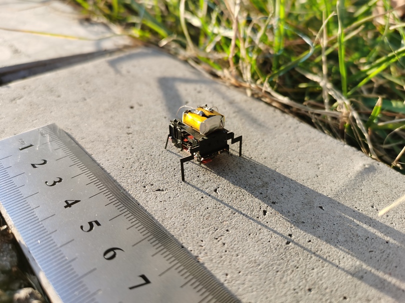 中国の研究チーム、体長2センチの自走式昆虫ロボットを開発