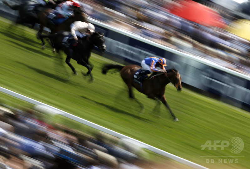 競走馬、これまでになく速くなっている 英調査 競走馬、これまでになく速くなっている 英調査