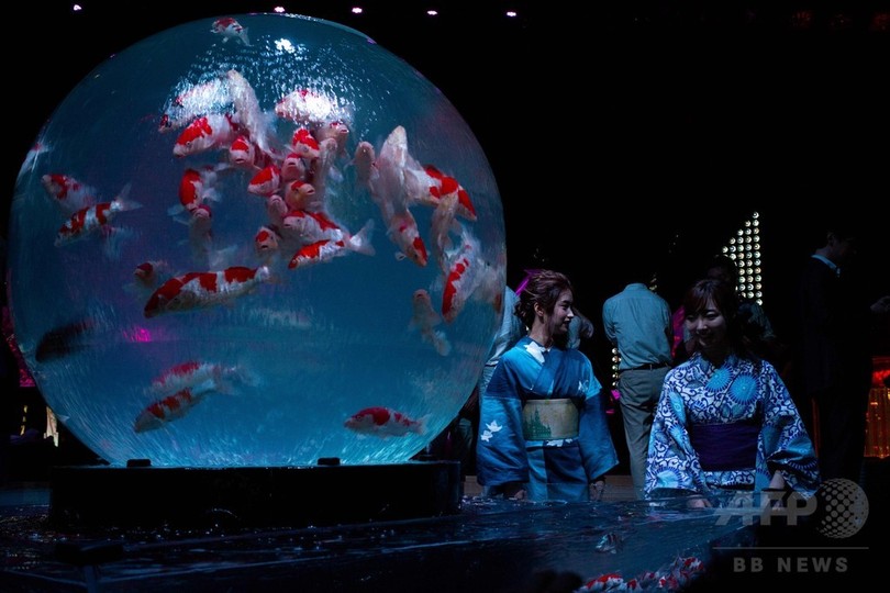 金魚がつくる幻想的な 涼 日本橋 アートアクアリウム 写真12枚 国際ニュース Afpbb News