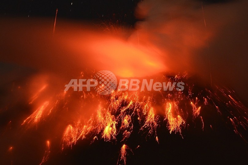 三畳紀末の大量絶滅、最新技術で時期を詳細に特定 「誤差2万年」 三畳紀末の大量絶滅、最新技術で時期を詳細に特定 「誤差2万年」