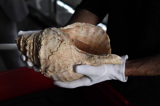 1.8万年前の「ド・ド＃・レ」 仏洞窟で発見の巻き貝の笛 写真10枚 国際