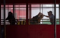 米ニューヨークの病院の緊急治療室に搬送される人（2020年4月22日撮影、資料写真）。(c)Johannes EISELE / AFP