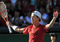 子テニス国別対抗戦、デビスカップ（Davis Cup 2011）は18日、東京の有明コロシアム（Ariake Coliseum）で日本とインドによるワールドグループプレーオフが行われ、日本は3日目のシングルスで錦織圭（Kei Nishikori）が勝利し、日本は27年ぶりとなるワールドグループ復帰を決めた。

錦織は通算4戦目となったシングルス第3試合でインドのビシュヌ・バルドゥハン（%%Vishnu Vardhan%%）を7-5、6-3、6-3のストレートで下し、通算成績を3勝1敗として勝利を決めた。

ワールドグループ復帰を決め、ガッツポーズを見せ喜ぶ錦織圭（2011年9月18日撮影）。(c)AFP/KAZUHIRO NOGI