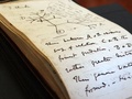 英ケンブリッジ大学図書館に返還された、チャールズ・ダーウィンが1837年に「生命の樹」を記したノート。同図書館提供（2022年4月5日公開）。(c)AFP PHOTO / STUART ROBERTS / UNIVERSITY OF CAMBRIDGE LIBRARY