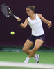 女子テニス、カタール・トータル・オープン（Qatar Total Open 2013）は13日、ドーハ（Doha）でシングルス2回戦が行われ、大会第6シードのサラ・エラーニ（Sara Errani、イタリア）は6-4、6-0でハンガリーのティメア・バボス（Timea Babos）に勝利し、3回戦進出を決めた。

リターンを打つサラ・エラーニ（2013年2月13日撮影）。(c)AFP/AL-WATAN DOHA/KARIM JAAFAR