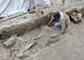 メキシコ中部トゥルテペックでマンモスの骨を発掘する専門家。メキシコ国立人類学歴史学研究所（INAH）提供（2019年11月6日公開）。(c)AFP PHOTO / INAH
