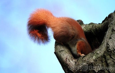 img_9692f4ad71f31bdf8d5fd4513a