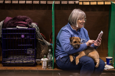 脱走犬、一晩で160キロ移動 スイス