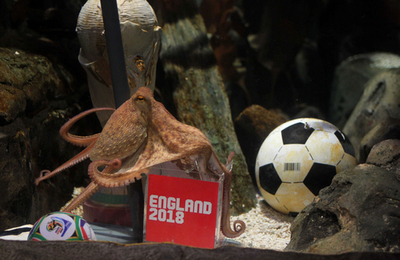 2018年サッカーW杯招致、イングランドがタコの「パウル」を大使に